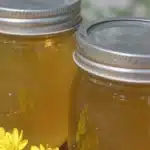 Homemade Dandelion Flower Jelly in a jar with a labeled lid