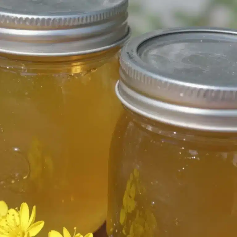 Homemade Dandelion Flower Jelly in a jar with a labeled lid
