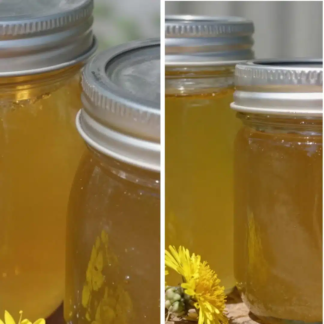 Dandelion Flower Jelly for You