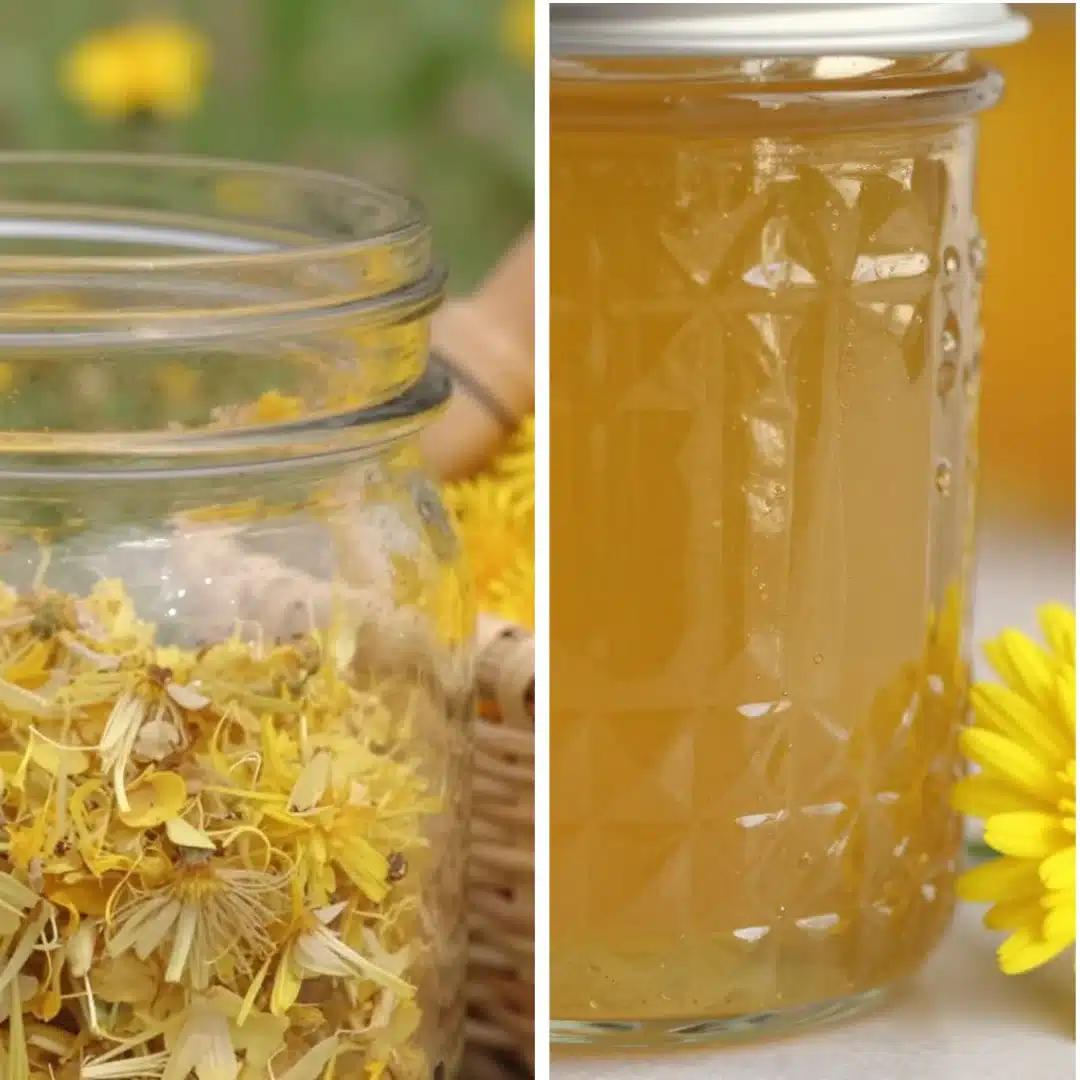 Dandelion Flower Jelly Pure Bliss