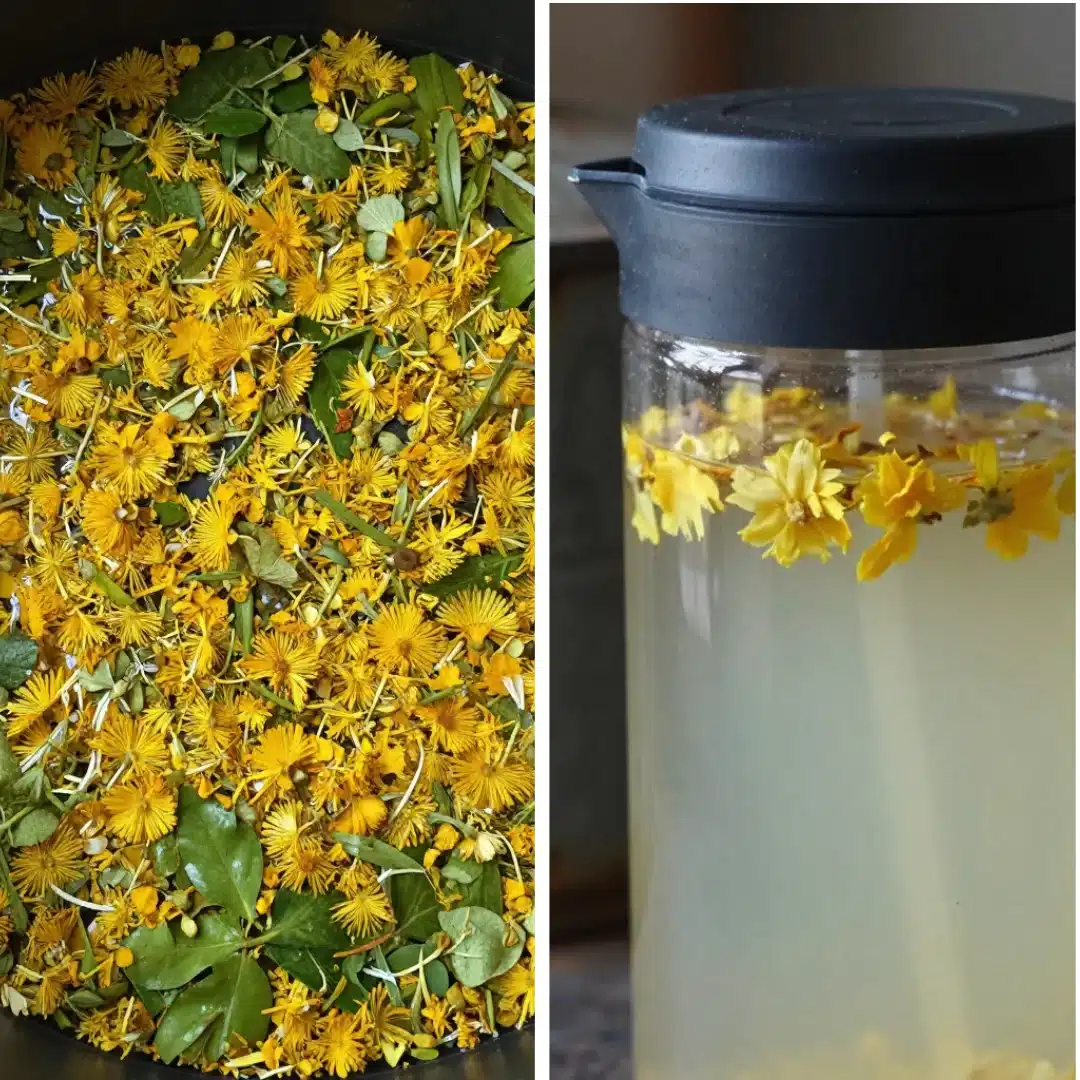 Dandelion Lemonade Poetic Warmth