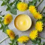 Homemade dandelion salve in a glass jar with fresh dandelions and herbs