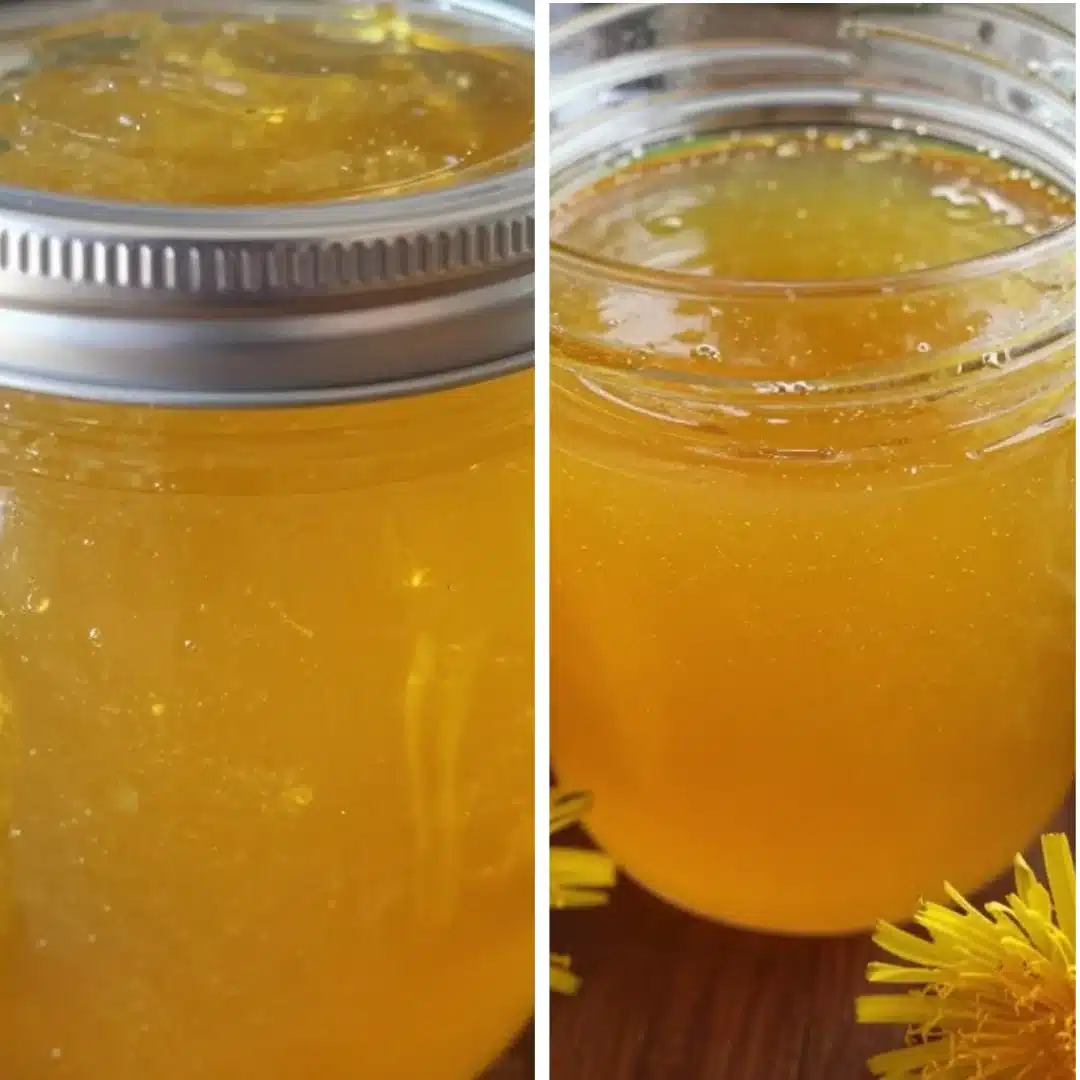 Delight In Fresh Dandelion Jelly