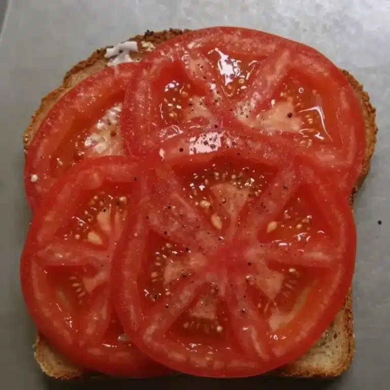 Delicious homemade tomato sandwich on whole grain bread