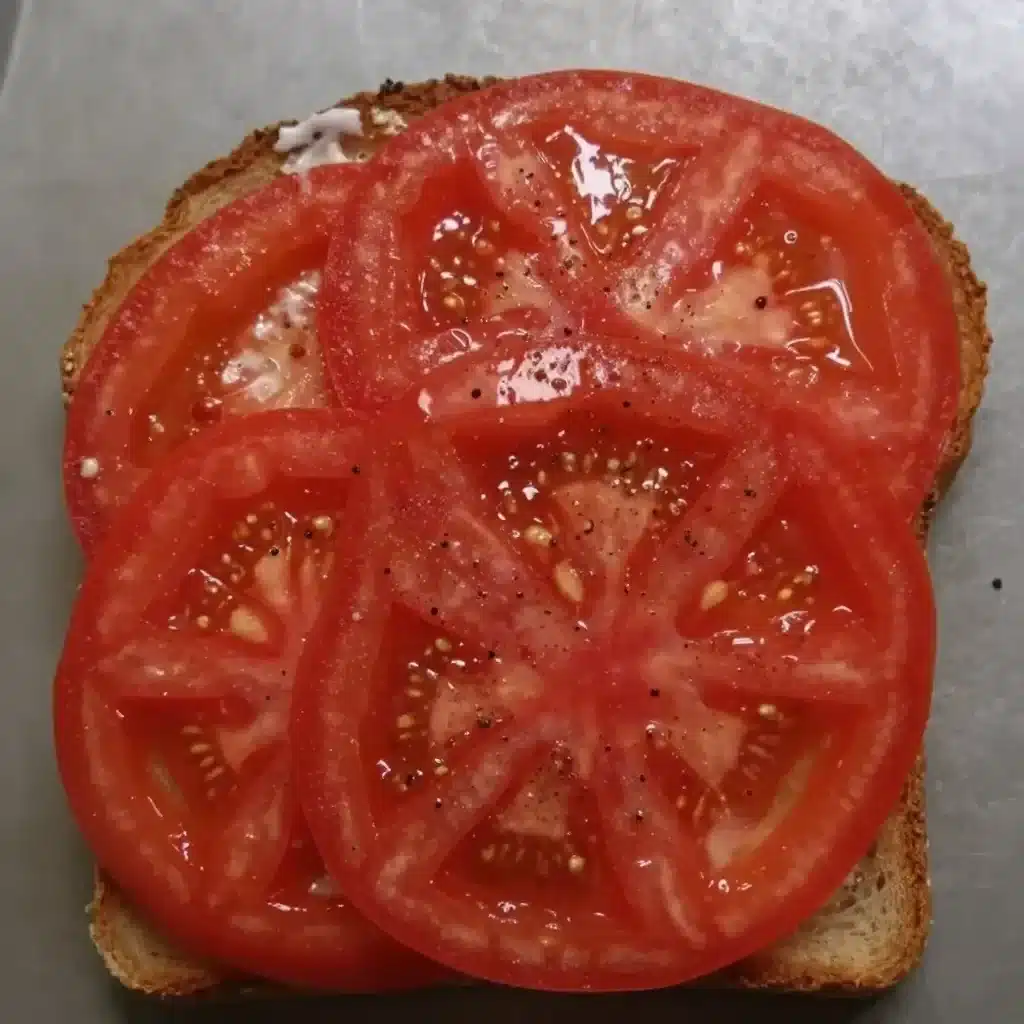 Best Tomato Sandwich Recipe: Quick, Easy, Homemade 30 Best Tomato Sandwich Recipe: Quick, Easy, Homemade